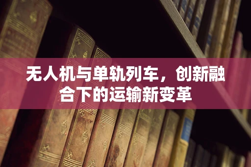 无人机与单轨列车，创新融合下的运输新变革