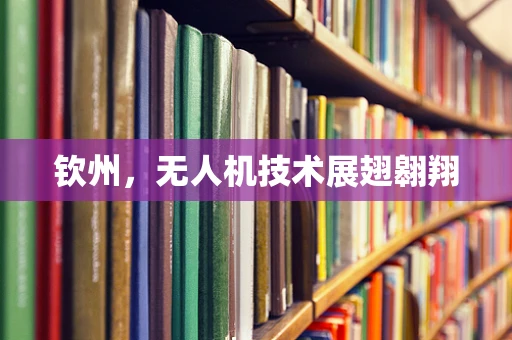 钦州，无人机技术展翅翱翔