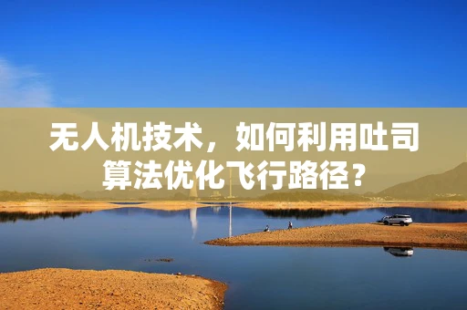 无人机技术，如何利用吐司算法优化飞行路径？