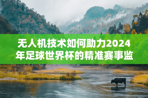 无人机技术如何助力2024年足球世界杯的精准赛事监控？