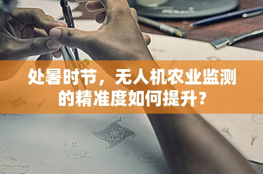 处暑时节，无人机农业监测的精准度如何提升？