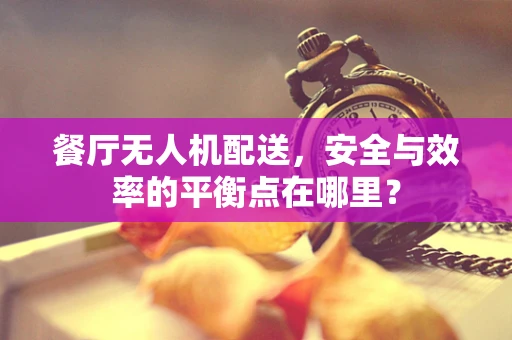 餐厅无人机配送，安全与效率的平衡点在哪里？