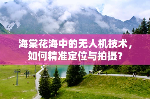 海棠花海中的无人机技术，如何精准定位与拍摄？