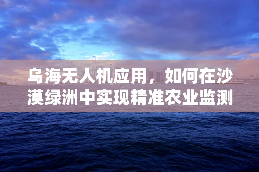 乌海无人机应用，如何在沙漠绿洲中实现精准农业监测？