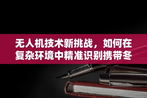 无人机技术新挑战，如何在复杂环境中精准识别携带冬瓜的目标？