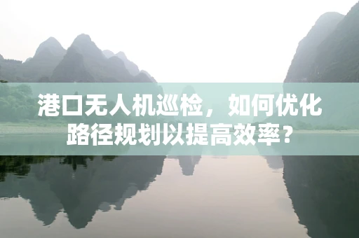 港口无人机巡检，如何优化路径规划以提高效率？