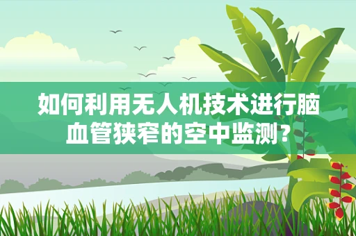 如何利用无人机技术进行脑血管狭窄的空中监测？
