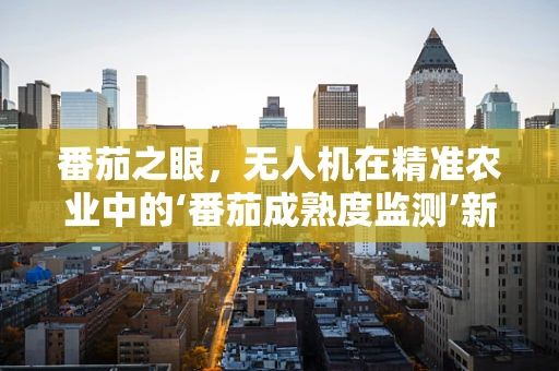 番茄之眼，无人机在精准农业中的‘番茄成熟度监测’新挑战