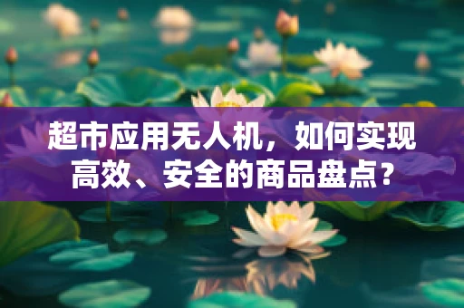 超市应用无人机，如何实现高效、安全的商品盘点？