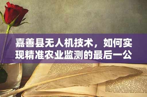 嘉善县无人机技术，如何实现精准农业监测的最后一公里？