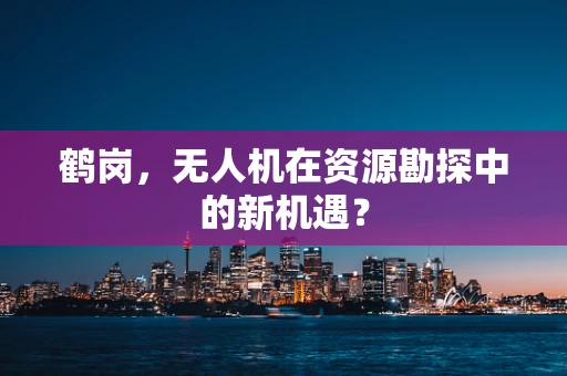 鹤岗，无人机在资源勘探中的新机遇？
