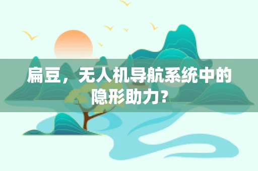扁豆，无人机导航系统中的隐形助力？