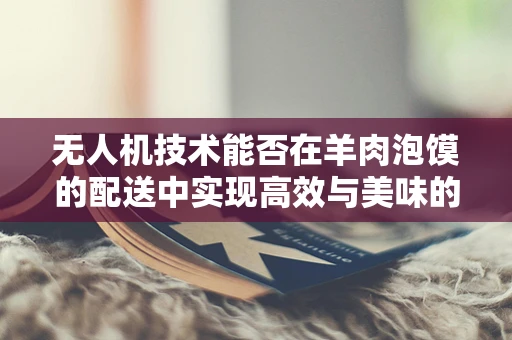 无人机技术能否在羊肉泡馍的配送中实现高效与美味的双重飞跃？