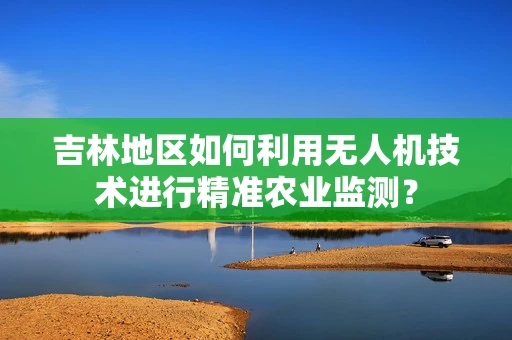吉林地区如何利用无人机技术进行精准农业监测？