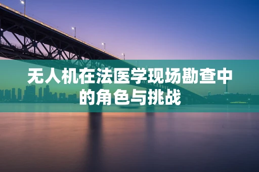 无人机在法医学现场勘查中的角色与挑战