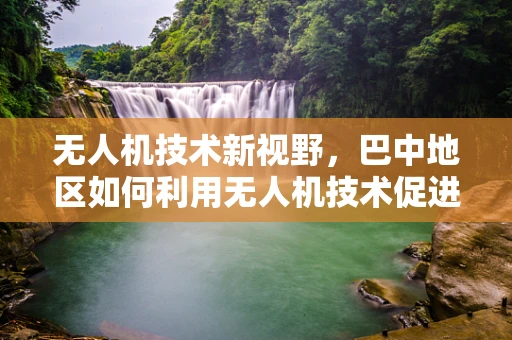 无人机技术新视野，巴中地区如何利用无人机技术促进农业智能化发展？