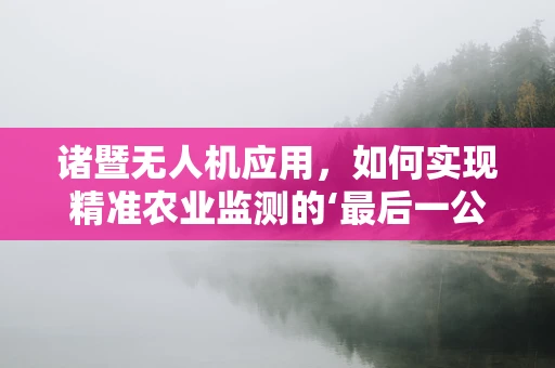 诸暨无人机应用，如何实现精准农业监测的‘最后一公里’？