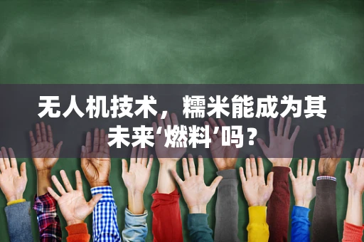 无人机技术，糯米能成为其未来‘燃料’吗？