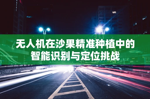 无人机在沙果精准种植中的智能识别与定位挑战