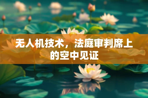 无人机技术，法庭审判席上的空中见证