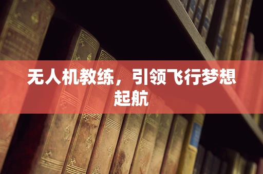 无人机教练，引领飞行梦想起航