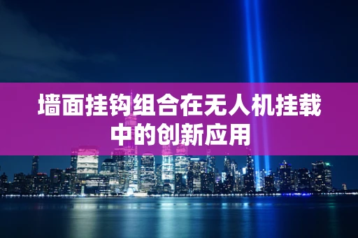 墙面挂钩组合在无人机挂载中的创新应用