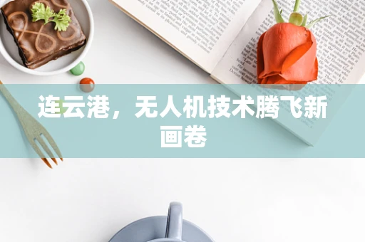 连云港，无人机技术腾飞新画卷