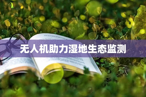 无人机助力湿地生态监测