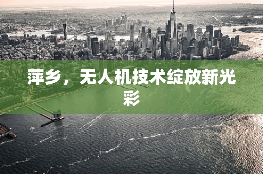 萍乡，无人机技术绽放新光彩