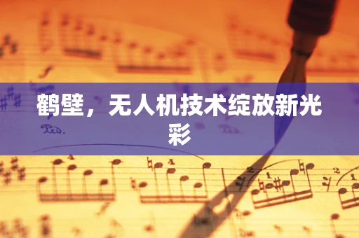 鹤壁，无人机技术绽放新光彩