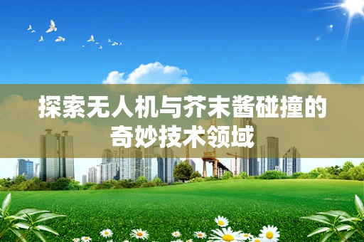 探索无人机与芥末酱碰撞的奇妙技术领域