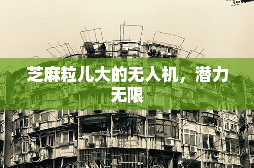 芝麻粒儿大的无人机，潜力无限
