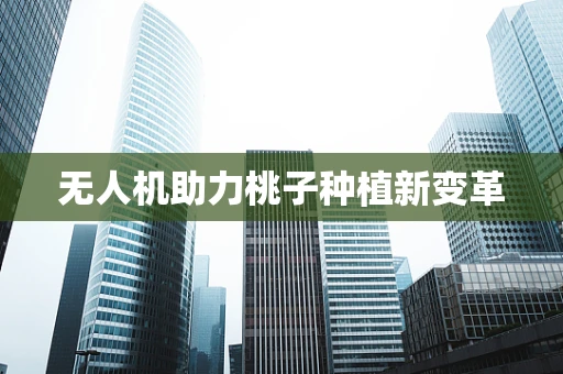 无人机助力桃子种植新变革