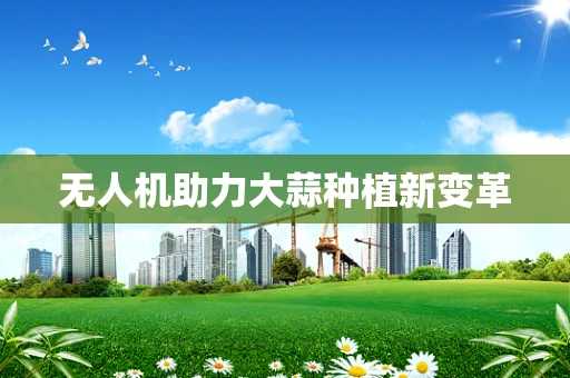 无人机助力大蒜种植新变革