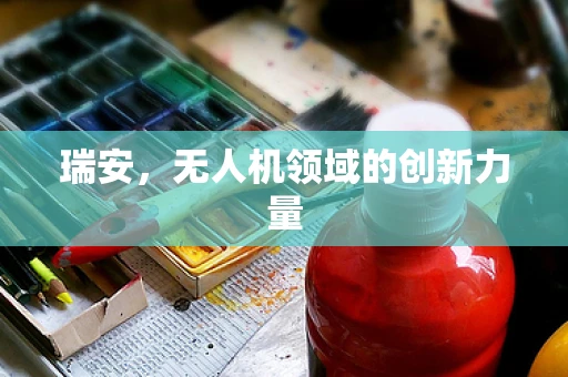 瑞安，无人机领域的创新力量