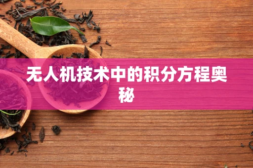 无人机技术中的积分方程奥秘