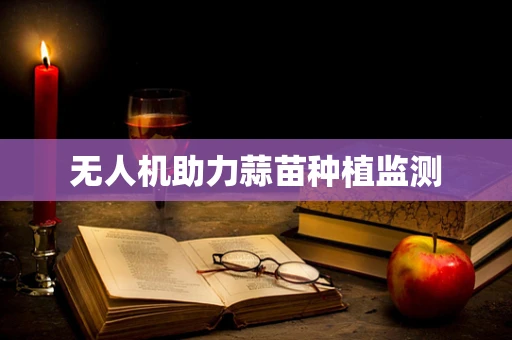 无人机助力蒜苗种植监测