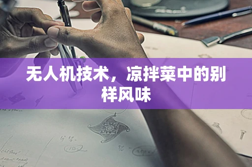 无人机技术，凉拌菜中的别样风味