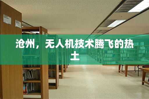 沧州，无人机技术腾飞的热土