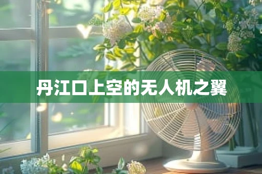 丹江口上空的无人机之翼