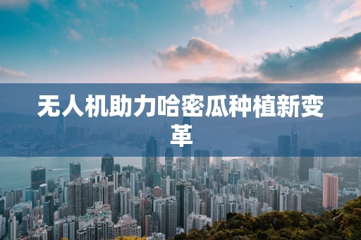 无人机助力哈密瓜种植新变革