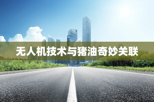 无人机技术与猪油奇妙关联
