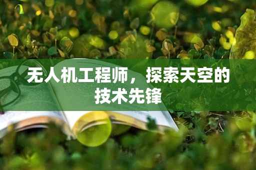 无人机工程师，探索天空的技术先锋