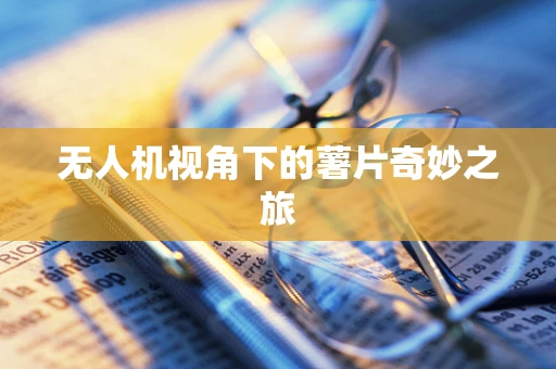 无人机视角下的薯片奇妙之旅