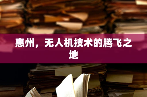 惠州，无人机技术的腾飞之地