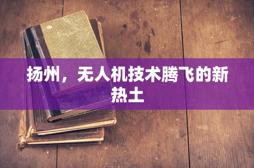 扬州，无人机技术腾飞的新热土