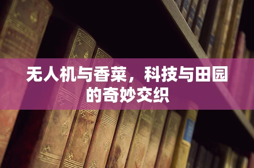 无人机与香菜，科技与田园的奇妙交织