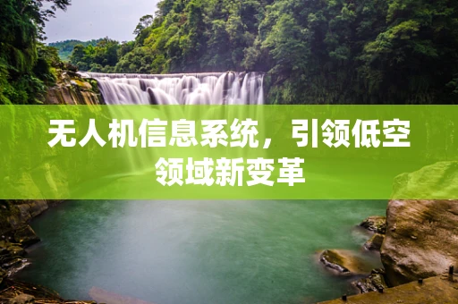 无人机信息系统，引领低空领域新变革