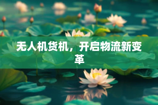 无人机货机，开启物流新变革