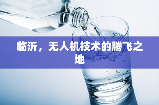 临沂，无人机技术的腾飞之地